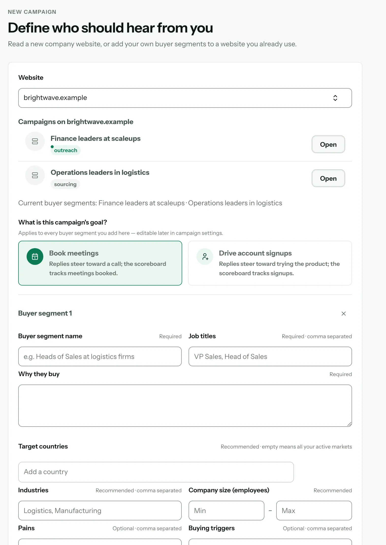 « Existing website » : la liste « Website », les campagnes déjà créées sur brightwave.example, l’objectif de campagne et le formulaire « Buyer segment 1 » vide